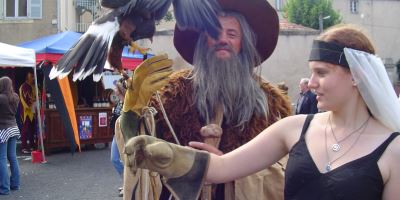 Fantasy festival in France and organizing a workcamp in your own home town